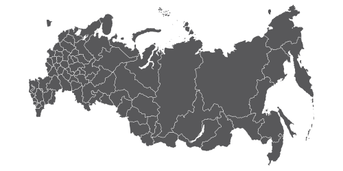 Широкая распространенность на российском рынке